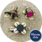 Mini Cowry Turtle Magnets